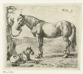 Cavalo e cão num prado
Cavalos (título da série)