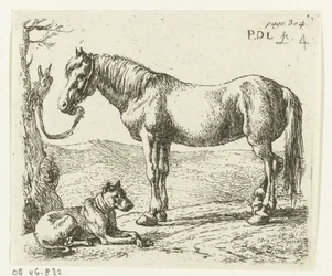 Cavalo e cachorro em um prado Cavalos (título da série)