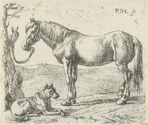 Cavalo e cão num prado
Cavalos (título da série)