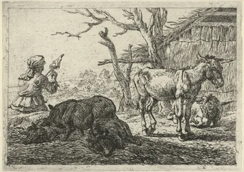 Mulher giratória, porcos e burros
Vários animais (título da série)