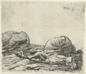 Dois cavalos mortos
Cavalos (título da série)