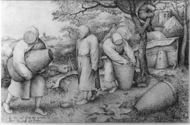 Os apicultores, "If You Know Where the Treasure is, You Can Rob it", c.1567-68
