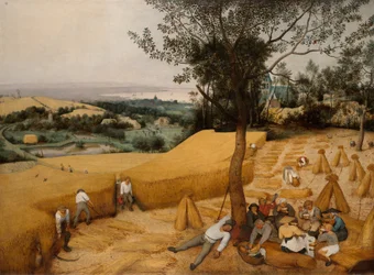 Os Harvesters, 1565.