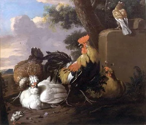 Aves em Paisagem