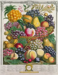 Outubro, de &39;Doze Meses de Frutos&39;, de Robert Furber (c.1674-1756) gravado por Henry Fletcher, 1732 (gravado a cores)