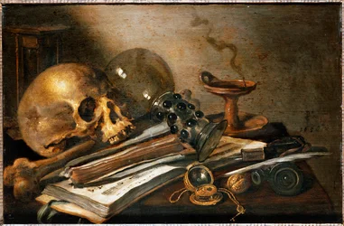 Vanitas, Natureza-morta