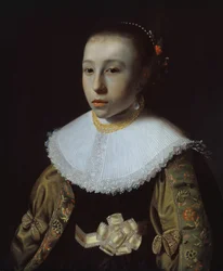 Retrato de uma jovem, 163335.