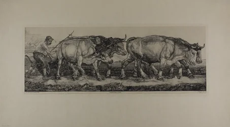 Bois de arado