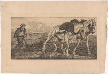 Dois cavalos de lavoura