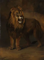 Um leão da coleção de animais do rei Luís Napoleão