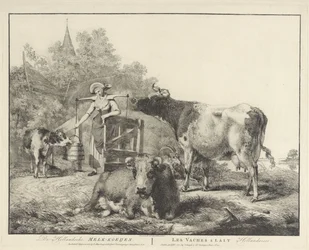 Vacas e uma leiteira De Hollandsche Melk-koeijen/ Les vaches â lait hollandaises (título no objeto)