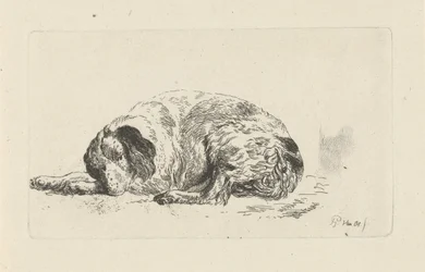 Cão reclinador
