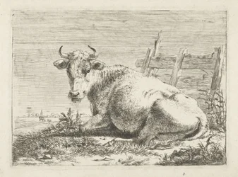 Vaca deitada perto de uma cerca
Vacas (título da série)