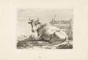 Vaca deitada perto de uma cerca
Vacas (título da série)