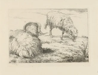 Dois carneiros no prado
Ovinos e caprinos (título da série)