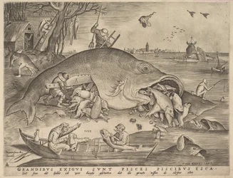 Peixe grande come peixe pequeno, 1557