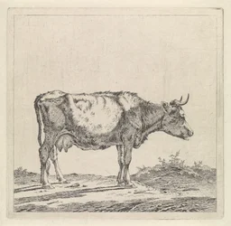 Paisagem com uma vaca à beira-mar