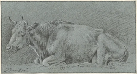 Vaca deitada
