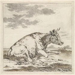 Vaca reclinada, à direita