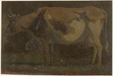 Vaca em pé, à esquerda