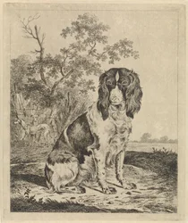 Cachorro perdiz sentado