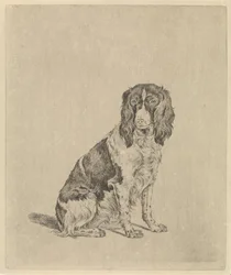 Cão sentado de perdiz