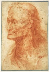 Estudo da cabeça de um velho, ca 1602.