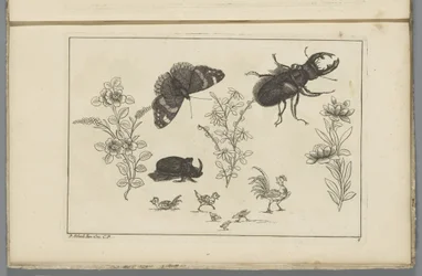 Três ramos de flores com besouro rinoceronte, borboleta e tor Flores e insetos chineses (título da série)