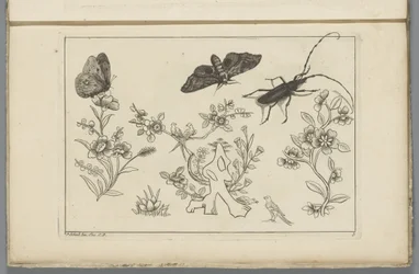 Três ramos de flores com pássaros, borboletas e um insecto
Flores e insectos chineses (título da série)