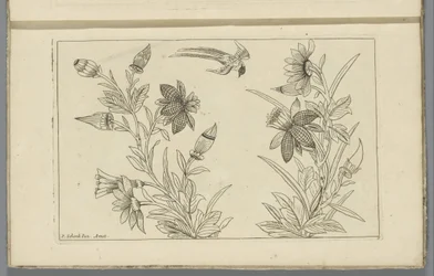 Dois arbustos de flores e uma andorinha Flores e pássaros chineses (título da série)