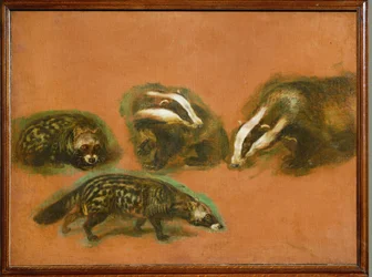 Um gato-maracajá e um texugo (pintura sobre tela)