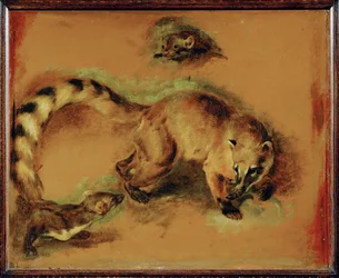 Um quati e um pequeno roedor (pintura sobre tela)