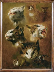 Cabeça de gato, coelho e cabra (pintura sobre tela)