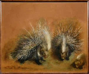 Porco-espinho (pintura sobre tela)