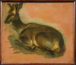 Veado, deitado (pintura sobre tela)