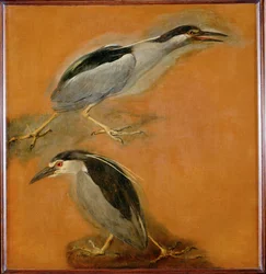 Duas garças (pintura sobre tela)