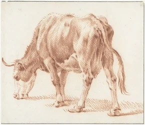 Vaca pastando, à esquerda