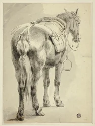 Cavalo de sela