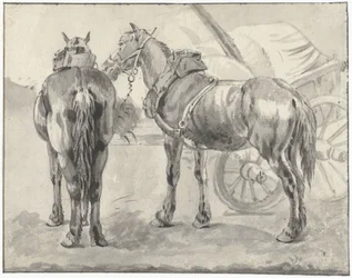 Dois cavalos de arreios com um carrinho