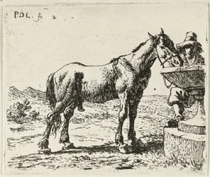 Cavalo bebedor