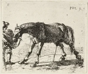 Cavalo a mijar