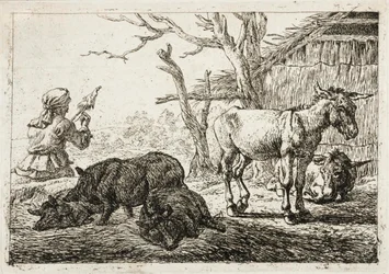 Suínos e burros num estábulo, à esquerda uma mulher fiandeira