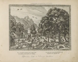 Esquemas de homens
Adumbrata humanitate divinitas (título sobre o objecto)
Emblemata Sacra è praecipuis utriusque testamenti utriusque historiis concinnata (Testamento Oude) (título da série)
Imagines et figurae bibliorum (título da série)