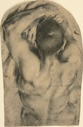 Nu masculino reclinado de meio comprimento visto de costas