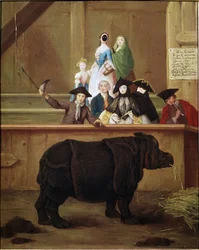 Rinoceronte: exposição de Clara, rinoceronte indiano. 1751. Museu veneziano do século XVIII. Ca