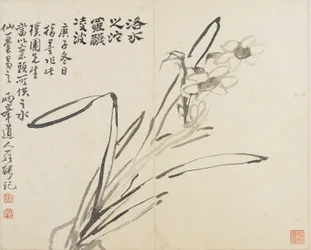 Paisagens, flores e pássaros: Narciso, Dinastia Qing