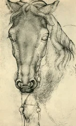 Cabeça de um cavalo, c1420-1455, 1943.
