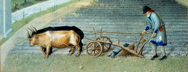 Março: neve Trabalho agrícola, lavoura camponesa de um campo. Detalhe. Miniatura em "The very rich hours of the Duke of Berry" de Pol De Limburg (século XV). Chantilly, Musee Conde