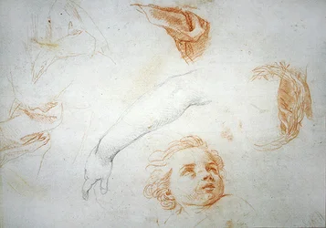 Estudos para o êxtase de Santa Catarina de Siena (giz vermelho e preto sobre papel)