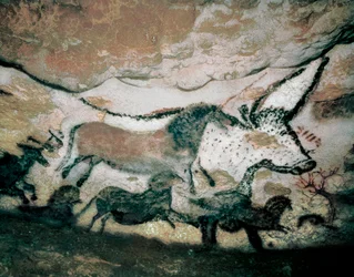 Bull, com Veado e Cavalo, Paleolítico Superior, da Gruta de Lascaux, França, c.17.000-15.000 a.C. (pintura)